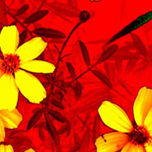 ddos压力测试平台